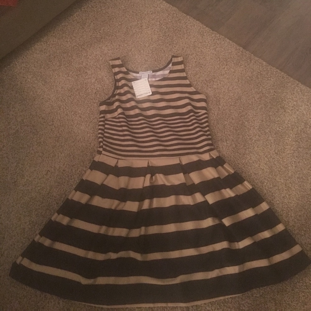Pinstriped Skater Mini Dress
