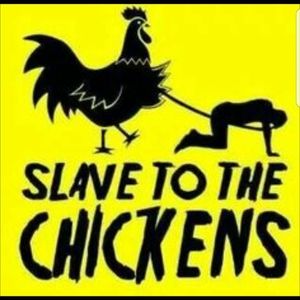 Meet your Posher, Robin