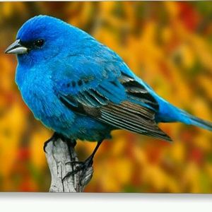 Meet your Posher, June