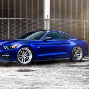 Meet your Posher, Scott