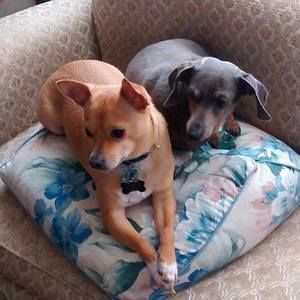 Meet your Posher, Waynecarol