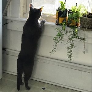 Meet your Posher, Johnny