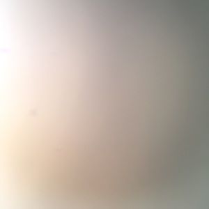 Meet your Posher, Tanner