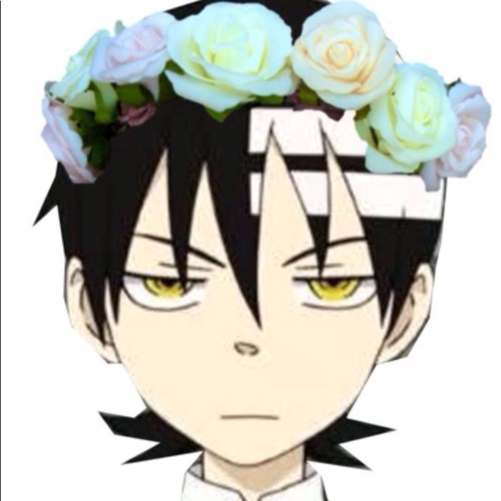 Meet your Posher, Lynx