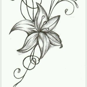 Meet your Posher, Cynthia