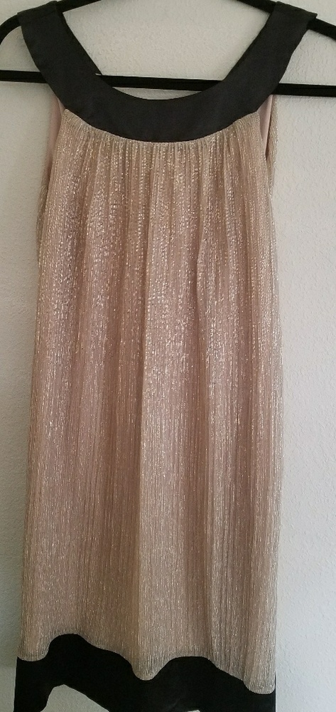 Fun Flapper Shift Dress!