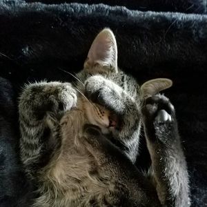 Meet your Posher, Chelsea