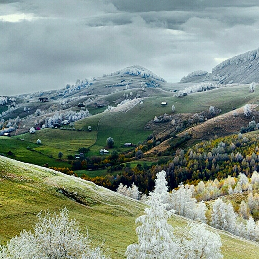 Meet your Posher, Alice