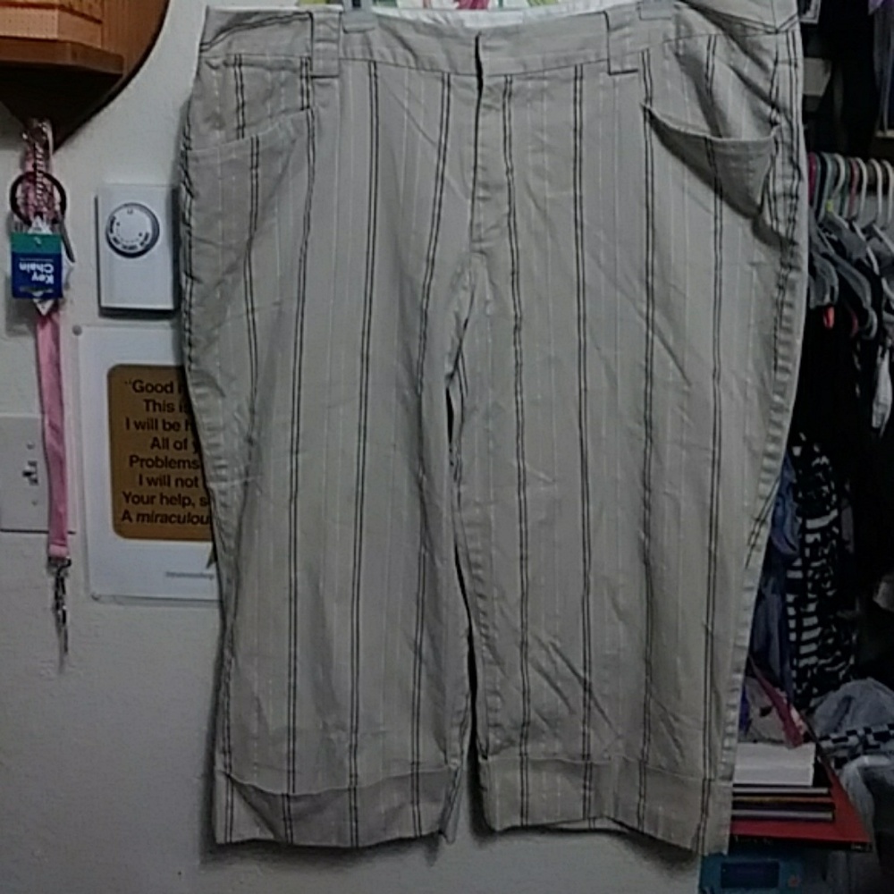 Womens Size 22 Capri's