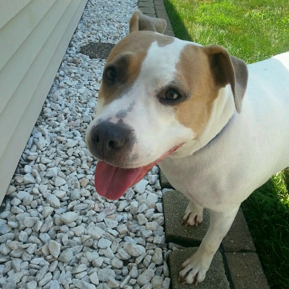 Meet your Posher, Alex - Picture 1 of 1