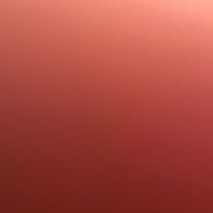 Meet your Posher, Joyce