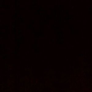 Meet your Posher, Jimmy