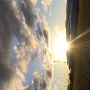 Meet your Posher, Carter