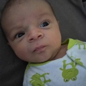 Meet your Posher, Josh