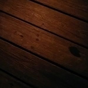 Meet your Posher, Lesley