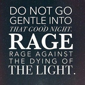 Meet your Posher, Haydn