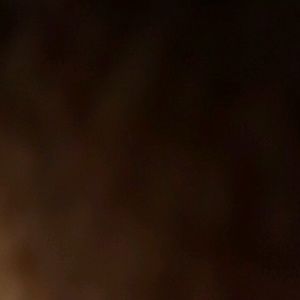 Meet your Posher, Chandler