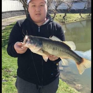 Meet your Posher, Max