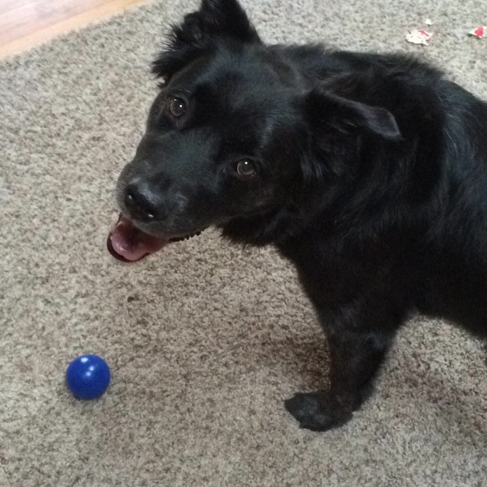 Meet your Posher, Maegan