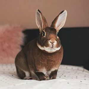 Meet your Posher, Marsha