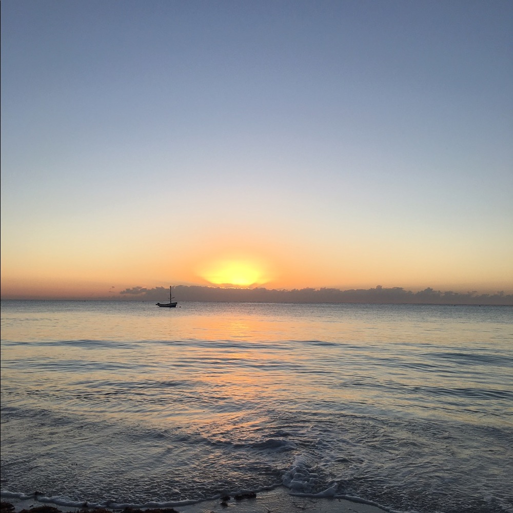 Meet your Posher, Elisa