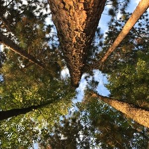 Meet your Posher, Peter