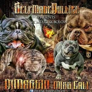 Meet your Posher, Frank