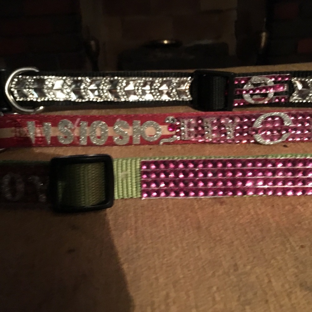 Dog Collars - Picture 2 of 3