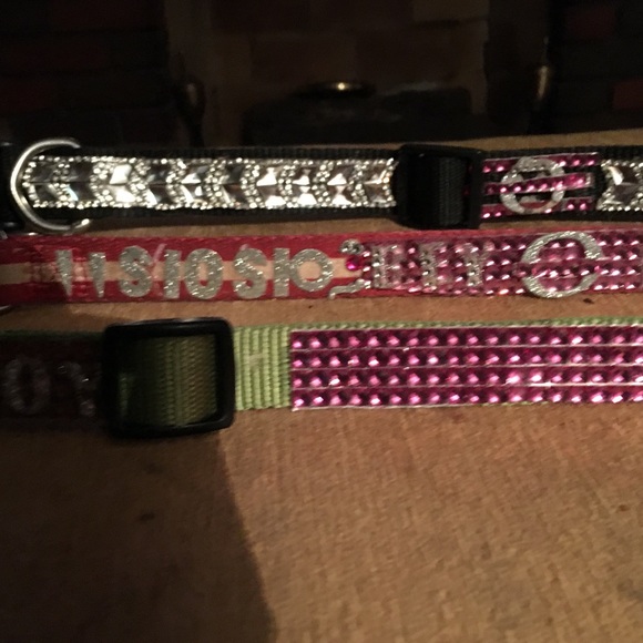 Dog Collars - Picture 2 of 3