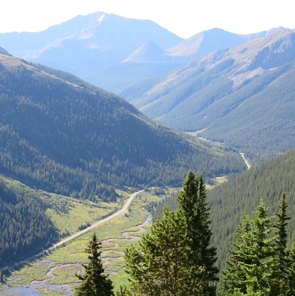 Meet your Posher, Paige