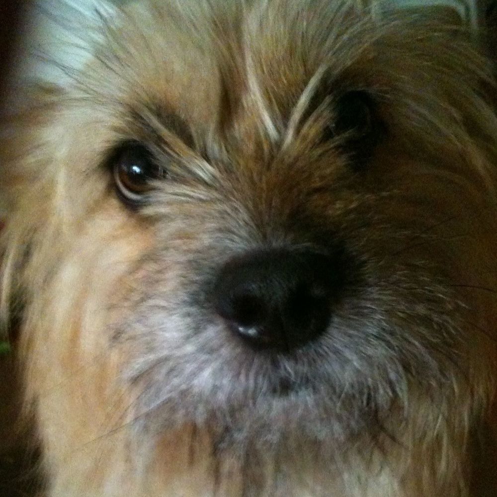 Meet your Posher, Brandy