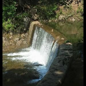 Meet your Posher, Tabitha