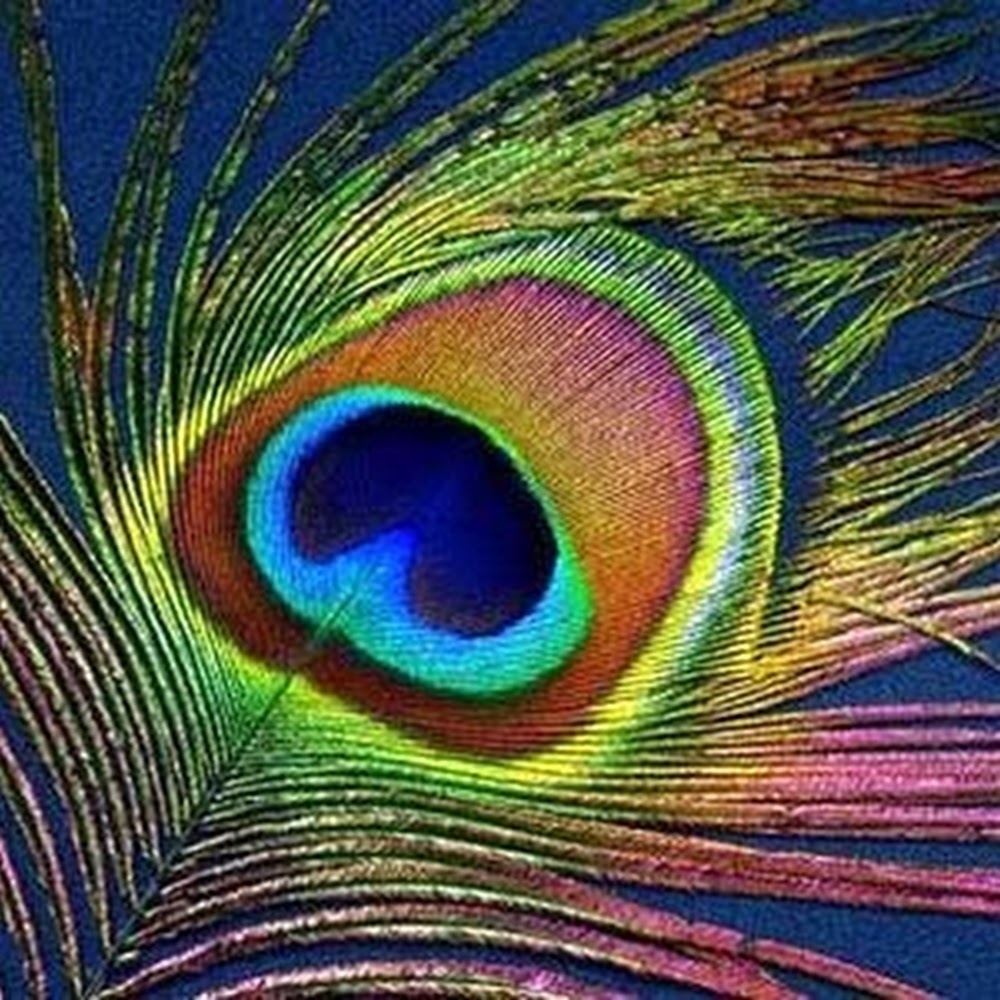 Meet your Posher, Lindsay