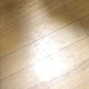 Meet your Posher, Logan