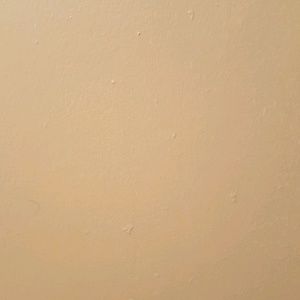 Meet your Posher, Dakota