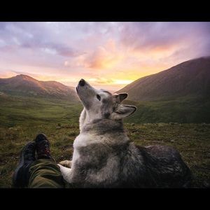 Meet your Posher, Jacob