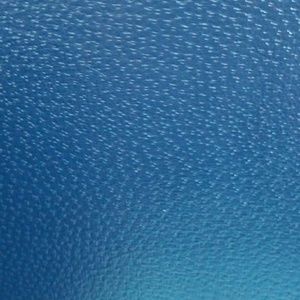 Meet your Posher, Layla