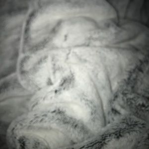 Meet your Posher, Taryn