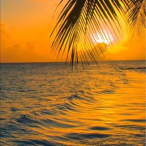 Meet your Posher, Damaris