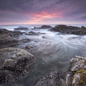 Meet your Posher, Annette