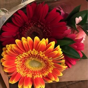 Meet your Posher, Mary