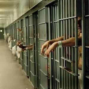 Meet your Posher, Antonio