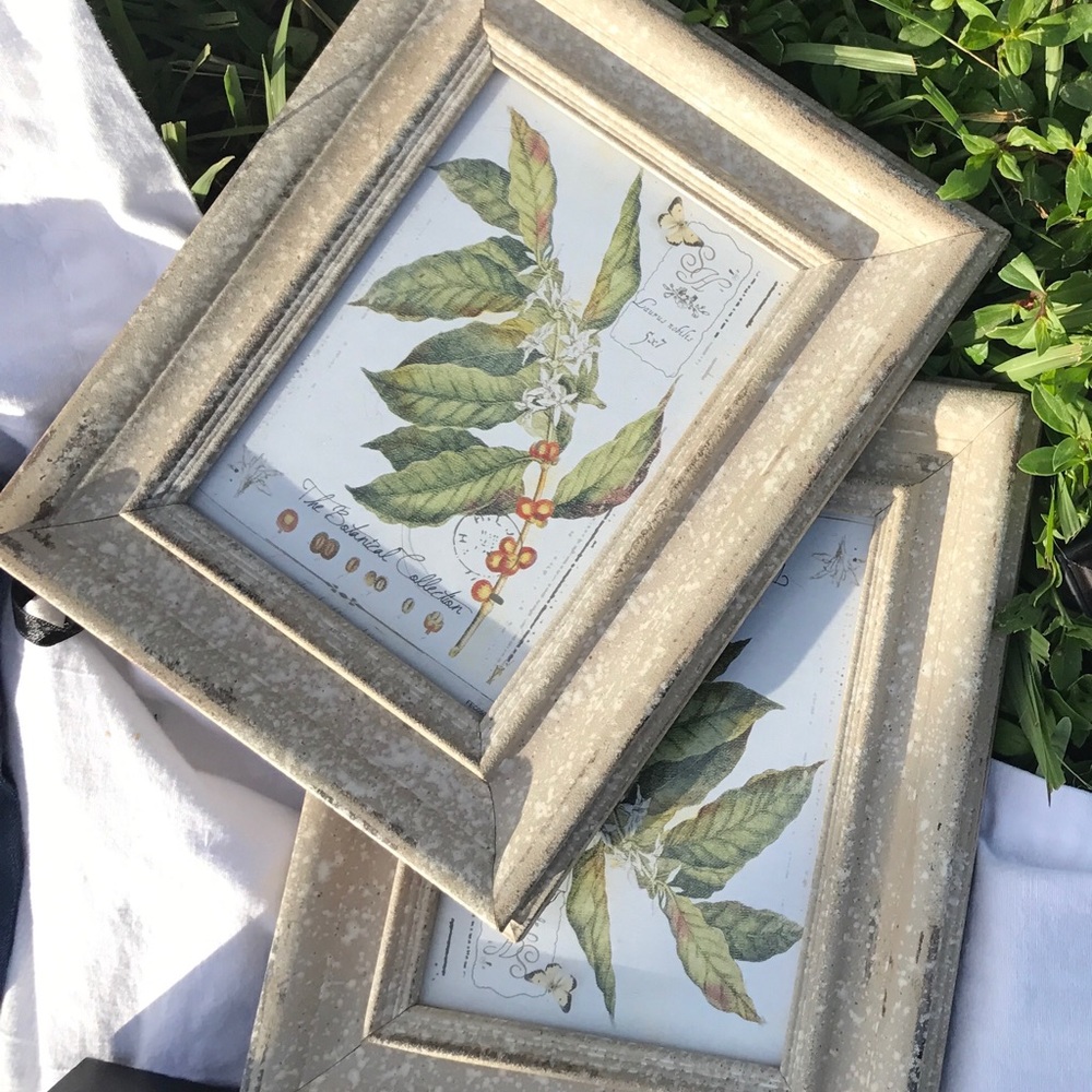 Picture Frames