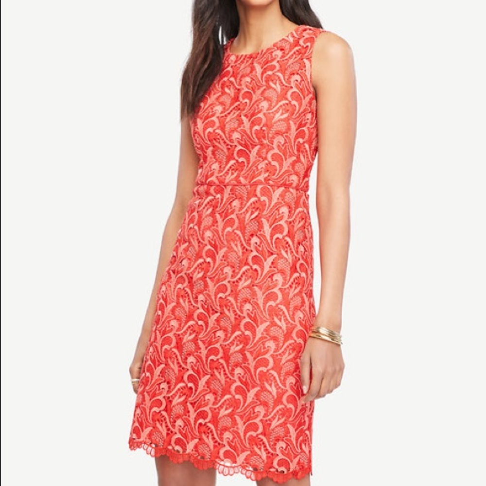 🎉HP best in 👗 💞Ann Taylor two tone lace dress - Picture 3 of 7