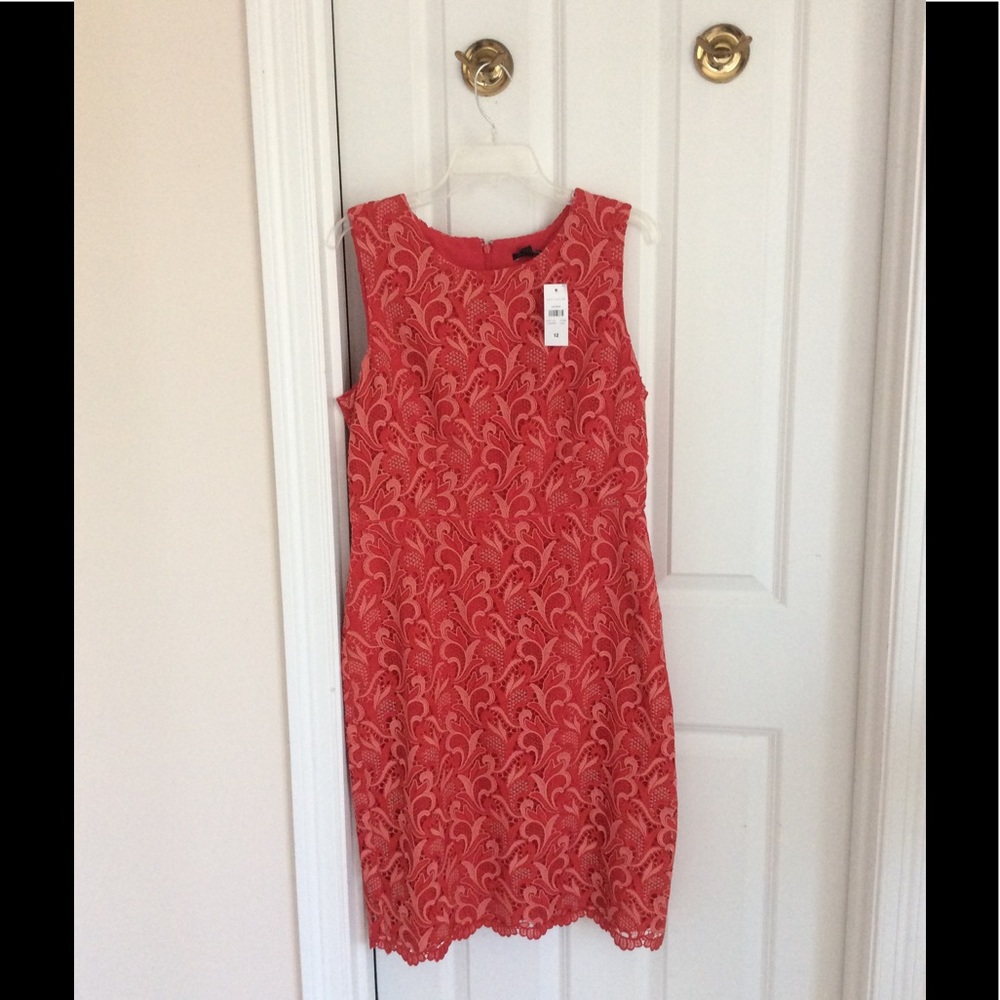 🎉HP best in 👗 💞Ann Taylor two tone lace dress - Picture 6 of 7