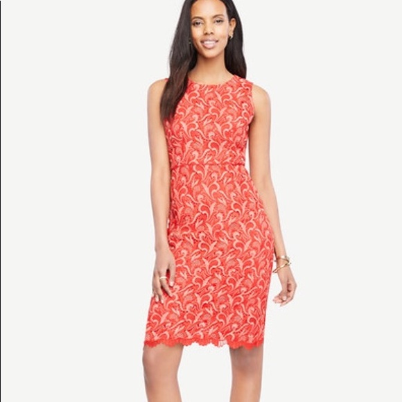 Ann Taylor Dresses & Skirts - 🎉HP best in 👗 💞Ann Taylor two tone lace dress