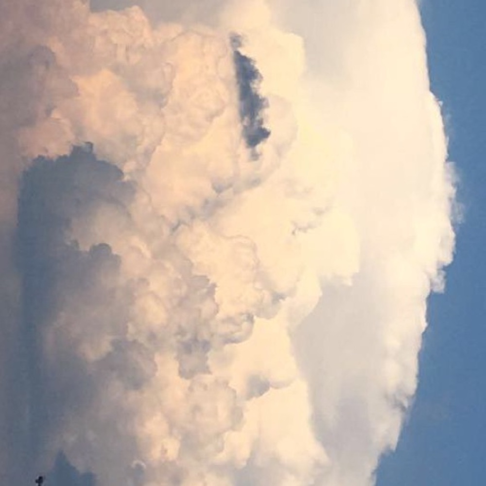 Meet your Posher, Hallie