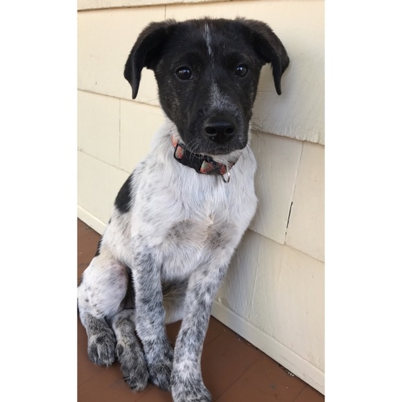 Welcome To My Closet! 💕 - Picture 4 of 6