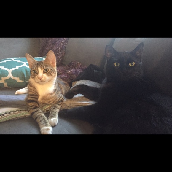 Welcome To My Closet! 💕 - Picture 5 of 6