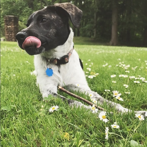 Welcome To My Closet! 💕 - Picture 3 of 6